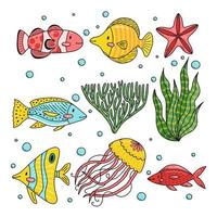 set schattige doodle cartoon zeevis, kwallen, zeester, algen. vectorillustratie.