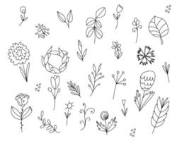 vector set bladeren, bloemen, twijgen. handgetekende elementen, bloemen