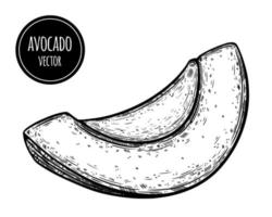 avocado segment vector pictogram. hand getrokken schets van rijp exotisch fruit. stuk gepelde verse avocado. natuurlijke gezonde voeding, tuin groente overzicht. zwart-wit afbeelding geïsoleerd op wit