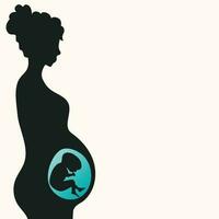 zwangere vrouw met zich ontwikkelende foetus vector