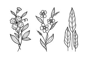 hand getrokken vector bloemen ontwerpelementen. vectorillustratie.