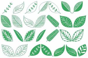 verschillende soorten groene bladeren vector