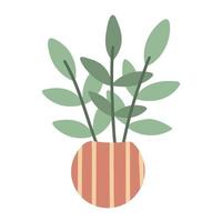 mooie groene ingemaakte kamerplant geïsoleerde vectorillustratie vector