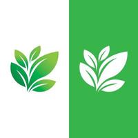 logo's van groene boom blad ecologie vector