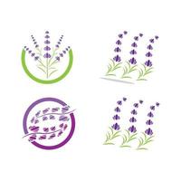 verse lavendel bloem logo vector