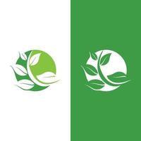 logo's van groene boom blad ecologie vector