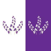 verse lavendel bloem logo vector