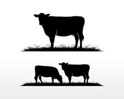 vee angus beef logo ontwerp. premium rundvlees logo ontwerp vector