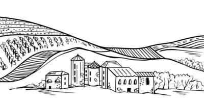 Italiaans provinciaal landschap met wijngaardvelden en huizen. schets illustratie van heuvelachtig Italiaans platteland. vector berg ontwerp.
