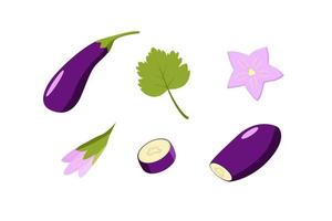 aubergine geheel en gesneden, aubergine bloemen en blad. vectorillustratie van groenten, een set van oogst vector