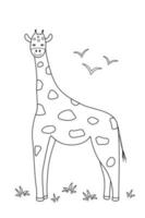 schattige cartoon giraffe, kleurboek voor kinderen vectorillustratie van een Afrikaans dier geïsoleerd op wit. vector