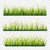 set van groen gras vector