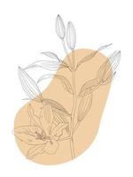 botanische lijn kunst bloemen bladeren, planten. hand getrokken schets takken. vector