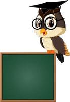 illustratie van uil leraar op blackboard vector