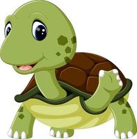 schattige schildpad cartoon vector