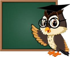 illustratie van uil leraar op blackboard vector