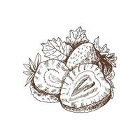 vector schets van verse biologische aardbeien, plakjes. hand getekende illustratie. zomerfruit en bessen gegraveerde stijlillustratie. geweldig voor label, poster, print.