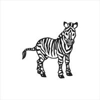 zebra-logo-ontwerp. wit dier met zwarte strepen sjabloon. vector