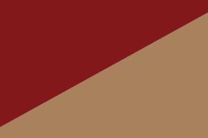 abstracte moderne luxe rood goud patroon two tone kleur achtergrond. vector