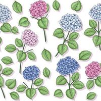 hortensia's bloemen naadloos patroon vector