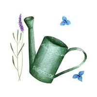 tuin gieter en takjes lavendel aquarel hand tekenen, geïsoleerd, op een witte achtergrond. vector