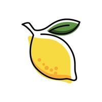 citroen kunst vector. vers citroenfruit in het zomerseizoen. zomer fruit vector
