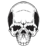 het beeld van de schedel. vectorillustratie. geïsoleerd op wit. vector