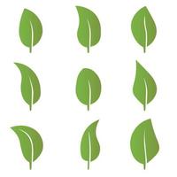 eco groene kleur blad vector logo platte pictogramserie. geïsoleerde bladeren vormen op een witte achtergrond. bio plant en boom bloemen bos conceptontwerp.