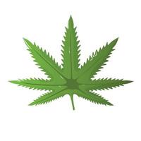 cannabis blad vector pictogram. marihuana legaliseren symbool. medicijn cannabis teken, kruiden natuur biologische plant. hash, ganja cbd rasta indica sativa-logo. platte ontwerp geïsoleerd op een witte achtergrond.