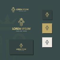 advocatenkantoor gouden luxe logo vector