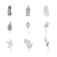 handgetekende set van botanische blad doodle wildflower lijntekeningen vector