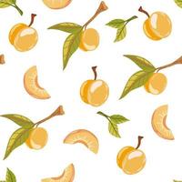 abrikoos fruit naadloze patroon. opkomst tuinplant geheel en half stuk met steel en pit. sappig natuurlijk gezond fruit. perfect voor behang, stof, interieur. vector cartoon illustratie