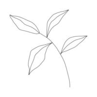 hand getekende blad doodle. handgetekende plant in doodle stijl. botanische illustratie. vector