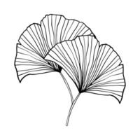 hand getekende blad doodle. handgetekende plant in doodle stijl. botanische illustratie. vector