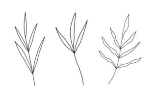 set van bloemen hand getekende vector. handgetekende planten in doodle stijl. botanische illustratie. vector