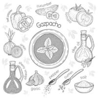 gazpacho en een set ingrediënten ervoor. vector voedsel illustratie. geïsoleerd op wit. doodle zwart-wit overzicht.