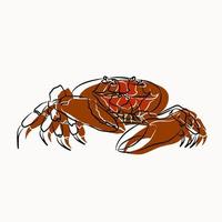 mooie krabben, gebruikt in algemeen werk vector