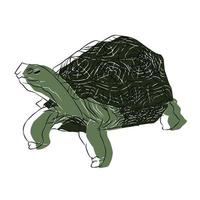 prachtige afbeelding van een schildpad, gebruikt in algemeen werk vector