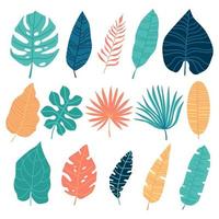 vector tropische palmbladeren, jungle bladeren, gespleten blad, philodendron bladeren geïsoleerd op een witte achtergrond