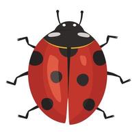 schattig rood lieveheersbeestje icoon met zwarte vlekken. zomer helder insect. platte vectorillustratie vector