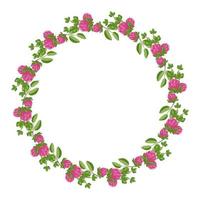 krans van roze klaver bloemen. rond frame, schattige heldere plant met klaverblaadjes. feestelijke decoraties voor bruiloft, vakantie, ansichtkaart, poster en design. platte vectorillustratie vector