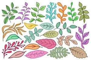takken en bladeren instellen. verzameling botanische designelementen takken en bladeren. kleurrijk gebladerte, plant decoraties set, vectorillustratie. vector