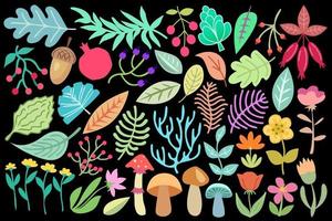 botanische ontwerpelementen instellen. collectie van plant vectorillustraties, bladeren, takken, paddestoelen bloemen, bessen, geïsoleerd op zwarte achtergrond. vector