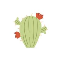 groene cactus met rode bloemen vector