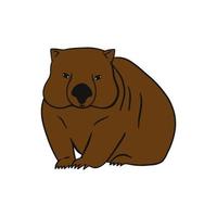 wombat vectorillustratie. vector