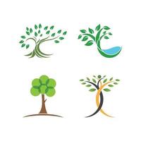 boom ecologie logo vector