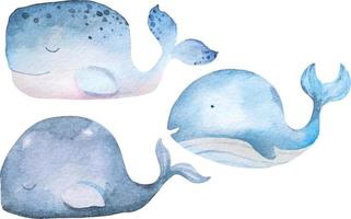 walvissen aquarellen 5