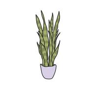 schoonmoeder tong, slang plant, sansevieria - doodle stijl illustratie vector