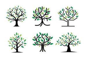 boom logo pictogram sjabloonontwerp. ronde tuinplant natuurlijke lijn symbool. groene tak met bladeren uithangbord. vectorillustratie. embleem logo. vector