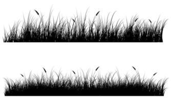 grasveld, gazon vector